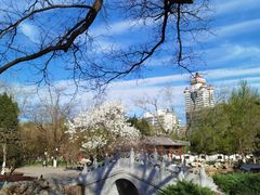 -宣武艺园