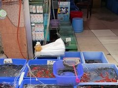 -清平路水族市场