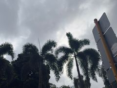 -九龙公园