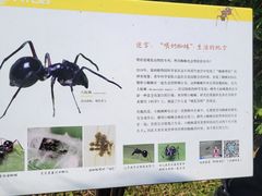 -中国科学院西双版纳热带植物园