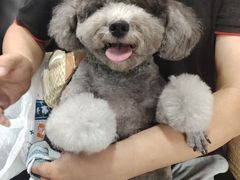 -久久宠物(河东万达店)