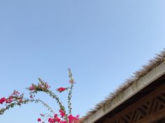 -亚龙湾国际玫瑰谷