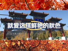 -北京西山国家森林公园