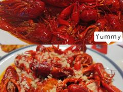 -杨氏青龙虾·羊蝎子(托乐嘉店)