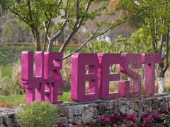 -贡湖湾湿地公园