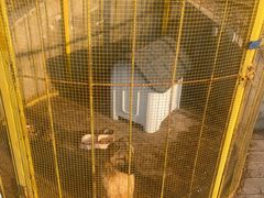 -北京鹿世界主题园