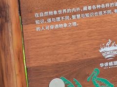-华侨城湿地公园