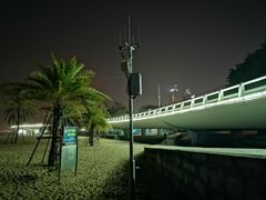 -演武大桥观景平台