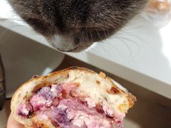 -Juicy Bakery(大学路店)