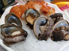 鲍鱼扇贝-一绪に寿喜烧自助(世茂广场店)