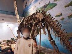 -自贡恐龙博物馆