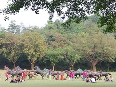 -广州雕塑公园