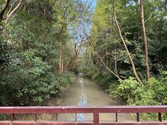 -东平国家森林公园
