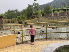 -无锡动物园·太湖欢乐园