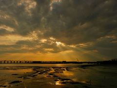 -宝安西湾红树林湿地公园