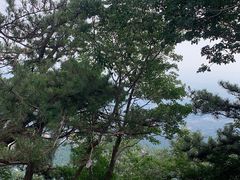 -沂蒙山旅游区龟蒙景区