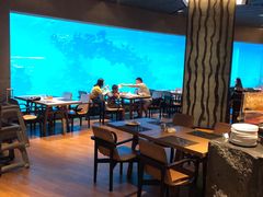 -海棠湾洲际-涛·海底餐厅·美人鱼·自助餐·海底隧道
