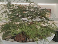 -御仙都北京菜馆·烤鸭店(双井店)