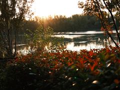 -昆山城市生态森林公园