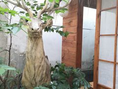 -边渡咖啡烘焙店(昙华林店)