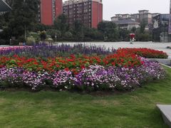 -天府芙蓉园