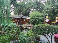 -白家大院·王府宫廷菜(苏州街店)