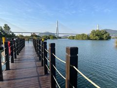 -芒洲湿地公园