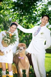 -太古映画婚纱摄影(天河店)