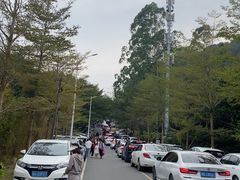 -黄埔油麻山森林公园
