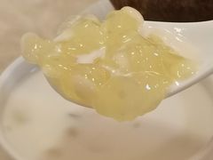 杏奶蛋白炖花胶-信行丰炖品皇店(光孝路店)