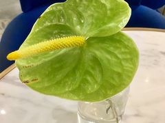-LE SAPHIR 莎菲尔菓子(和兴店)