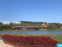 景点-洛龙公园