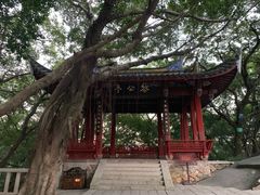 -乌山风景区
