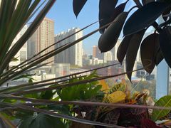-城市露台景观餐厅(淮海路店)