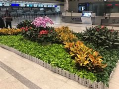 -杭州萧山国际机场