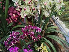 -国家植物园南园