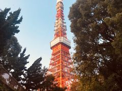 -东京塔海贼王主题公园
