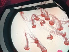 -沈阳海洋探索中心