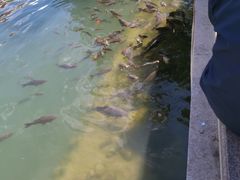 -宗角禄康公园