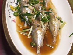 -锦桃农家菜馆