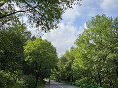 -玉渡山自然风景区