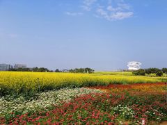 -光明小镇欢乐田园