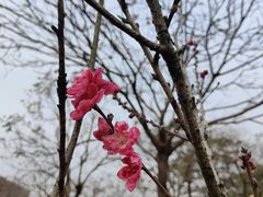 -中国移动南方基地