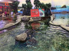 -鸿通城购物中心