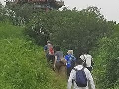 -大鹅岛灶台鱼·铁锅炖(水库路店)