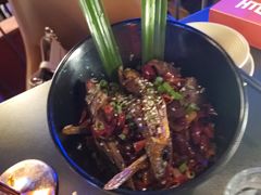 -梦田音乐miniLIVE(漳州店)
