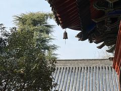 -洛阳白马寺