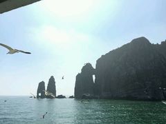 -长岛万鸟岛