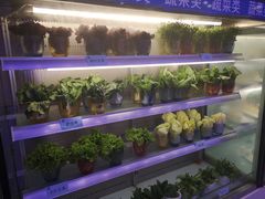 -澜悦港海鲜体验主题餐厅