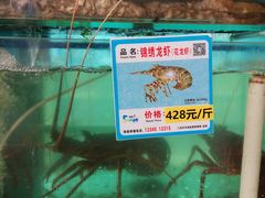 -琼大师东方烤乳猪(亚特兰蒂斯店)